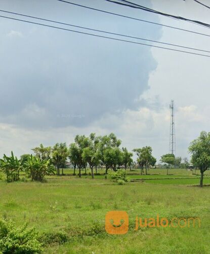 TANAH KAVLING 1 HEKTAR HADAP JALAN RAYA DI JENU, TUBAN, JAWA TIMUR COCOK UNTUK SEGALA USAHA