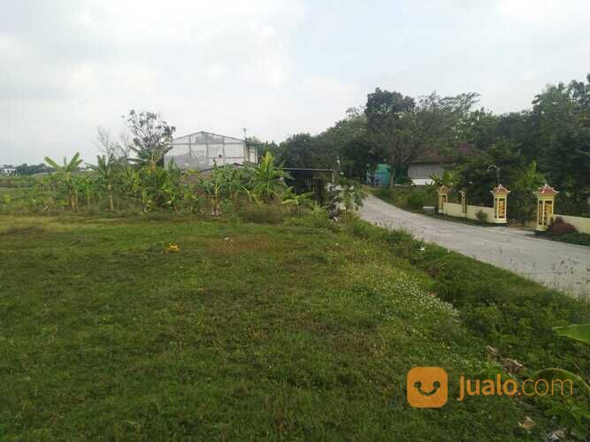 Tanah Murah Siap Bangun Dekat Dayu Park Sragen