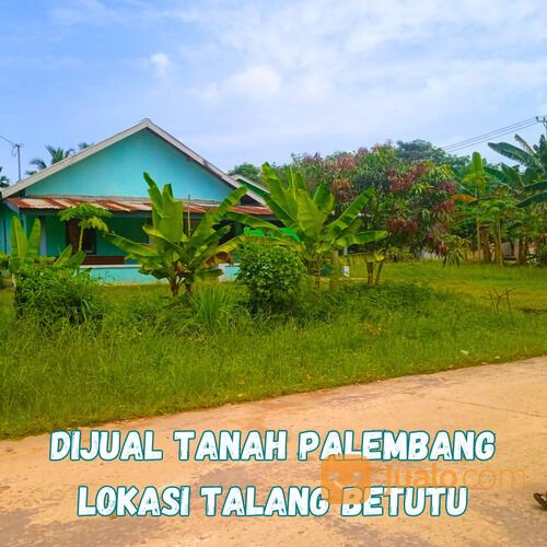 Tanah Dan Bangunan Lokasi Talang Betutu Luas 960 Meter