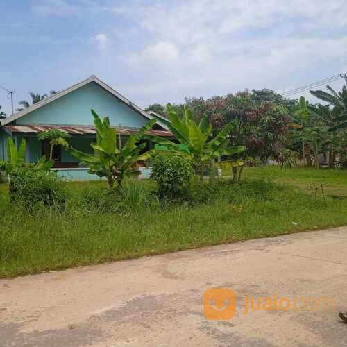 Tanah Dan Bangunan Lokasi Talang Betutu Luas 960 Meter