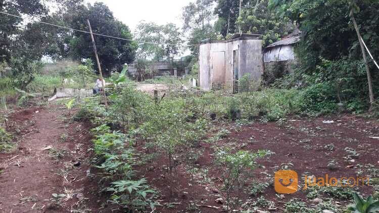 Tanah Murah Cocok Untuk Usaha dan Hunian di Jalan Raya Arco Raya