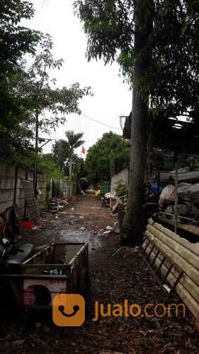 Tanah Murah Cocok Untuk Usaha dan Hunian di Jalan Raya Arco Raya