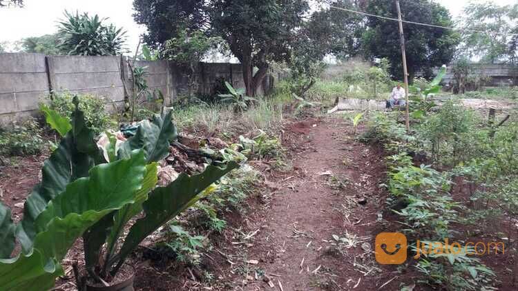 Tanah Murah Cocok Untuk Usaha dan Hunian di Jalan Raya Arco Raya