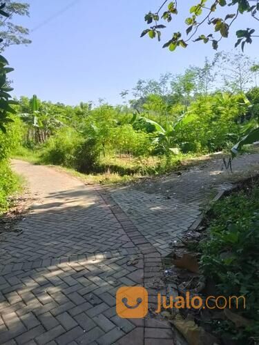 Tanah Pekarangan di Gunung Pati Semarang