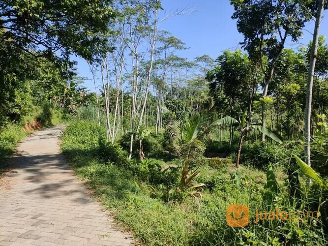 Tanah Pekarangan di Gunung Pati Semarang
