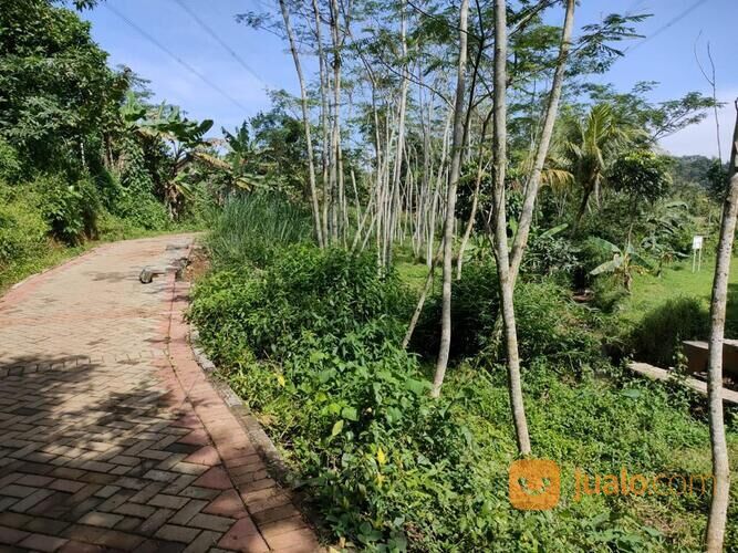 Tanah Pekarangan di Gunung Pati Semarang