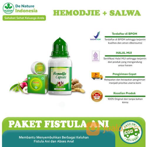 Obat Benjolan Benjolan Bernanah Abses Anorektal Abses ANAL Paling Banyak Dicari di Onlinestore