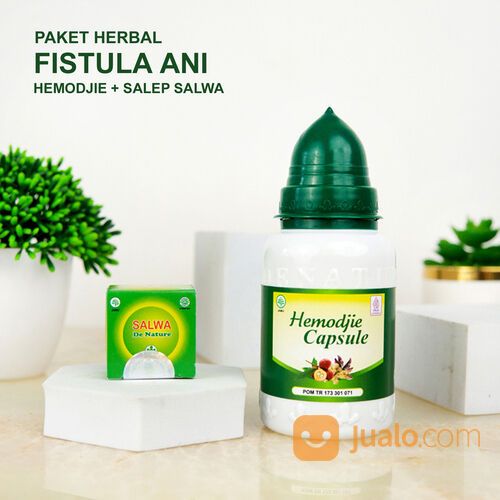 Obat Benjolan Benjolan Bernanah Abses Anorektal Abses ANAL Paling Banyak Dicari di Onlinestore