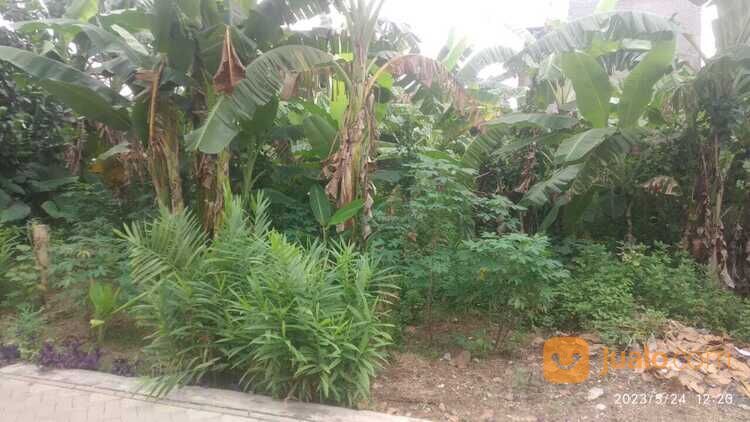 Tanah Murah Pinang Dekat Pasar Pagi Blok K Pinang