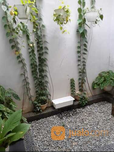 Rumah Perumahan Bumi Puspitek Asri siap huni