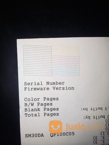 Printer Epson L210 Scan Copy