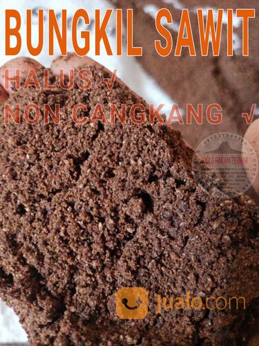 BUNGKIL SAWIT - pakan ternak - original
