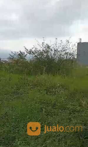 Tanah di kota batu.malang(Madewo apples)