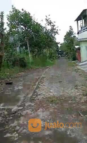 Tanah di kota batu.malang(Madewo apples)