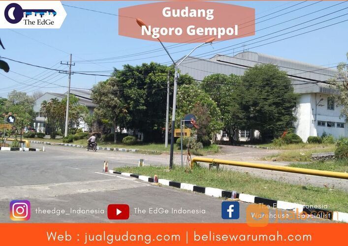 Gudang Ngoro, bongkar Muat 30 Kontainer - The EdGe