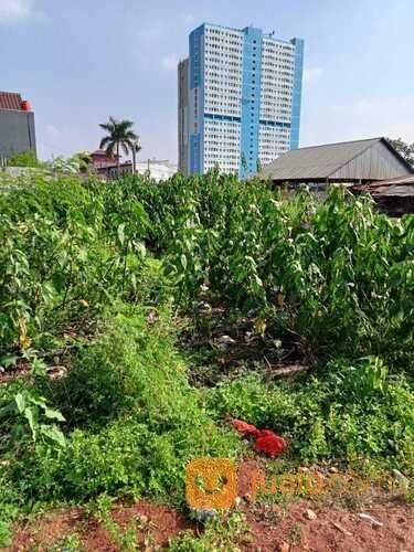Tanah/Kavling DPRD Jatinegara Baru, Pulo Jahe, Cakung