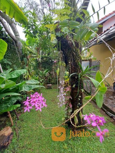 Rumah 2 lantai 100 Meter dari Jalan Randusari Antapani Bandung