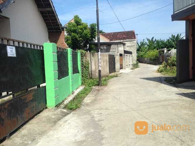 Kos-kosan di Pejarakan dekat Udayana