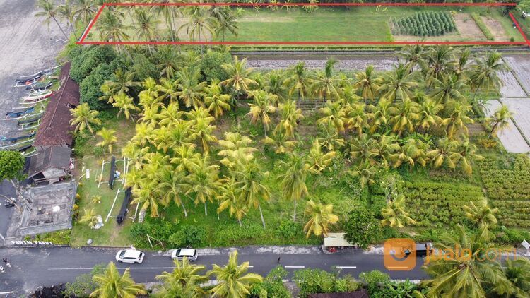 Tanah Los Pantai Pasut Tabanan Dekat Pantai Abian Kapas Amerta Beach