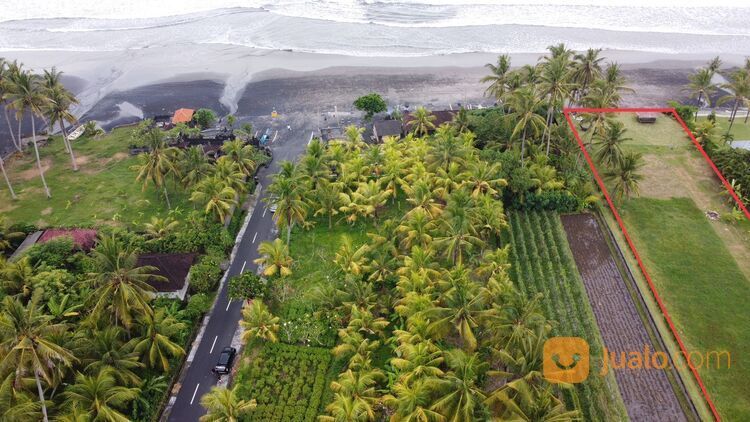 Tanah Los Pantai Pasut Tabanan Dekat Pantai Abian Kapas Amerta Beach