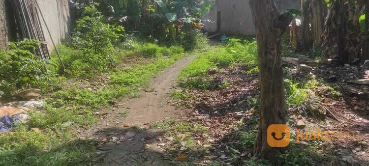 Tanah Hunian Cinangka Legalitas SHM