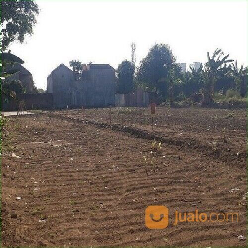 Dekat Kopi Rolas Kaliurang: Kavling Rumah Bisa Cicil 12X