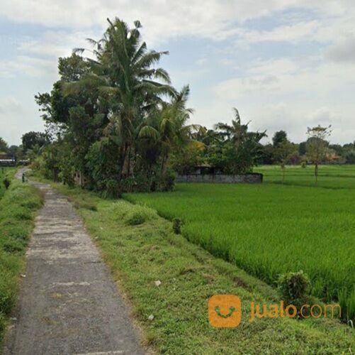 Dikontrakan 26,5 are, Jl. Desa Nyambu Kaba Kaba Kediri Tabanan