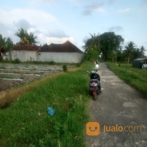 Dikontrakan 26,5 are, Jl. Desa Nyambu Kaba Kaba Kediri Tabanan
