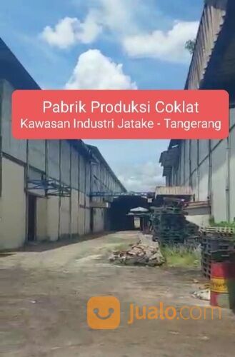 Pabrik 1.2 Hektar Jatake Produksi Biji Coklat Tangerang Propinsi Banten