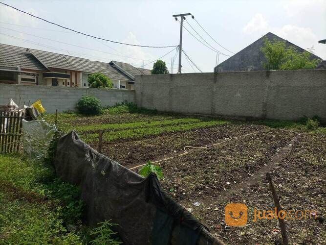 Tanah Murah di Lingkungan Perumahan Graha Prima Tambun Utara, Bekasi