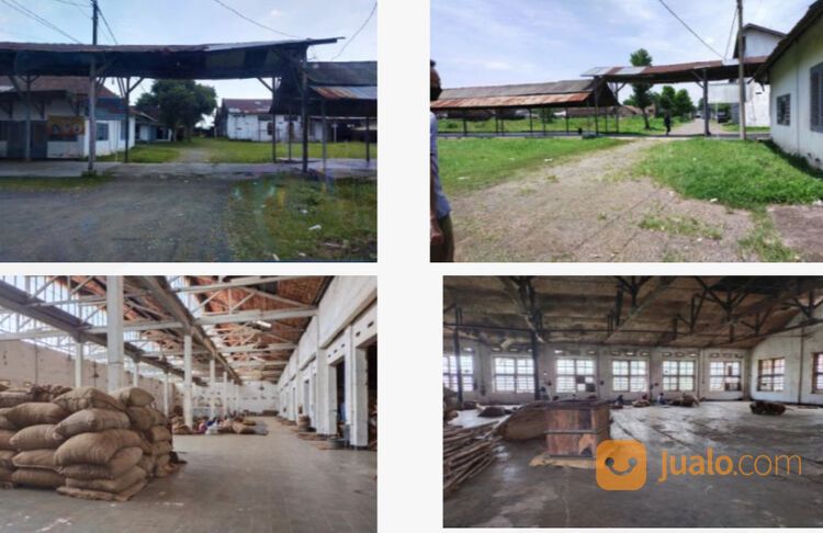 Gudang Tembakau Murah di Jalan Basuki Rahmat Sumbersari Jember