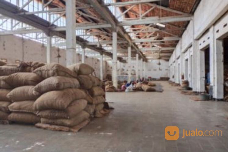 Gudang Tembakau Murah di Jalan Basuki Rahmat Sumbersari Jember