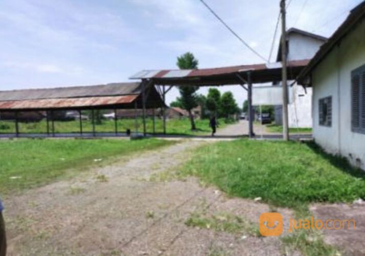 Gudang Tembakau Murah di Jalan Basuki Rahmat Sumbersari Jember