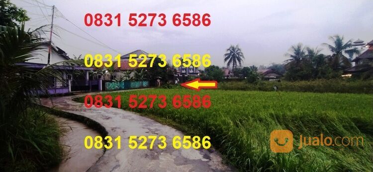 Tanah dekat kampus IPB Bogor 285m, Carang Pulang, Cikarawang, Dramaga