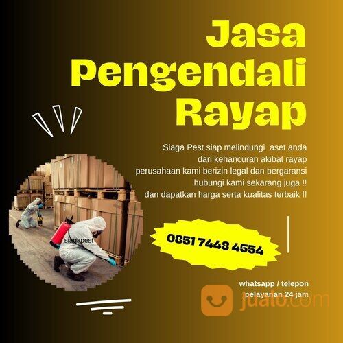 Jasa pengendali rayap termite control bondowoso