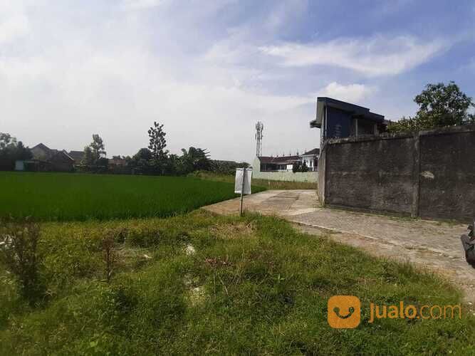 Promo Terbatas, Tanah Jogja, View Sawah dan Merapi, 10Menit Tugu Jogja
