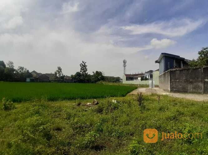 Promo Terbatas, Tanah Jogja, View Sawah dan Merapi, 10Menit Tugu Jogja