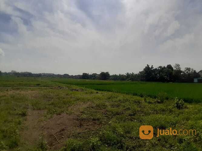 Promo Terbatas, Tanah Jogja, View Sawah dan Merapi, 10Menit Tugu Jogja