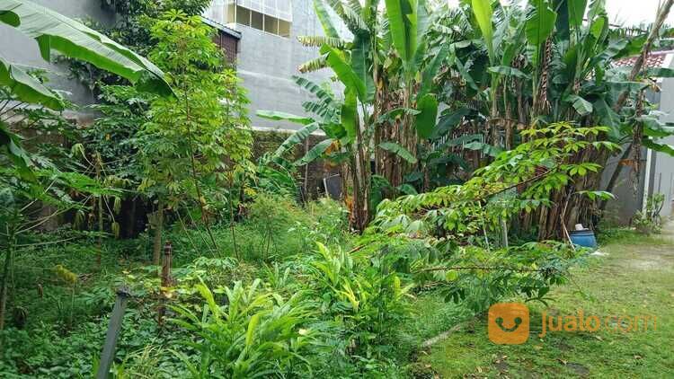 Tanah Tepi Jalan Jagakarsa 2 Menit Kantor Kelurahan Jagakarsa Legalitas SHM
