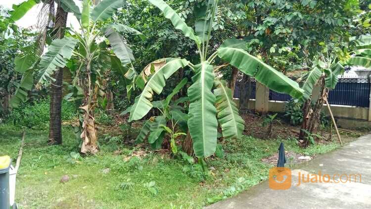 Tanah Tepi Jalan Jagakarsa 2 Menit Kantor Kelurahan Jagakarsa Legalitas SHM