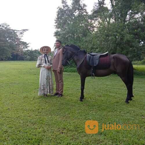 Sewa kuda, sewa kereta kencana