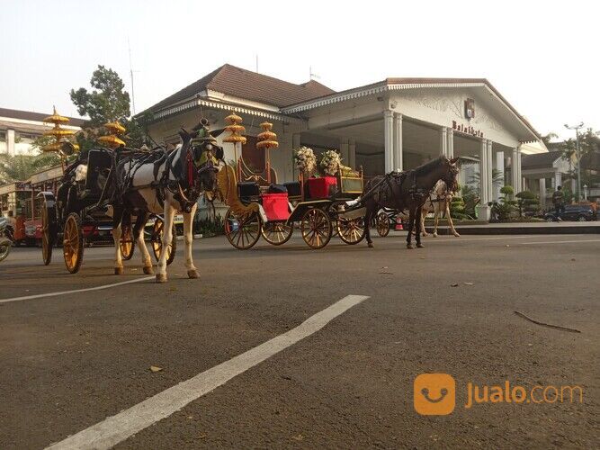 Sewa kuda, sewa kereta kencana