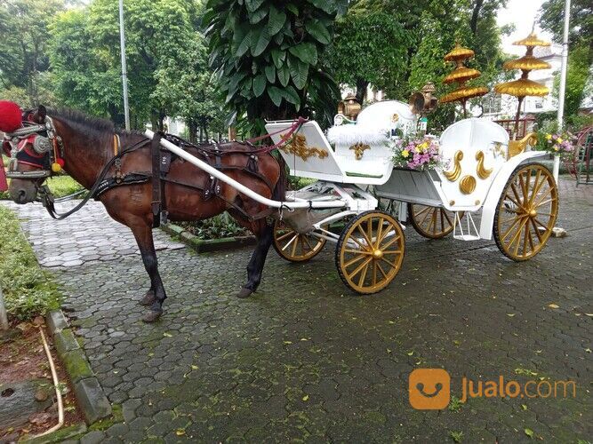 Sewa kuda, sewa kereta kencana