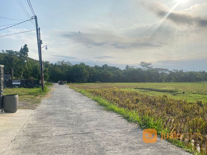 Jl. Jogja Wates KM 8, Tanah Murah Balecatur Gamping