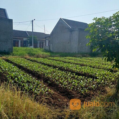 harga terjangkau rumah islami di dkt ciapus banjaran type 50/84