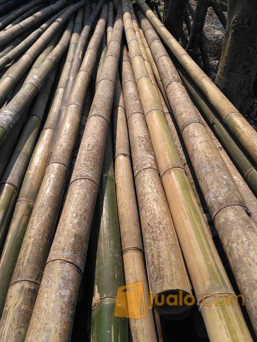 Bambu Untuk Seteger