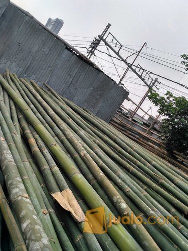 Bambu Untuk Seteger
