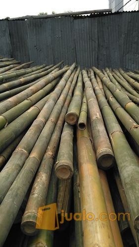 Bambu Untuk Seteger