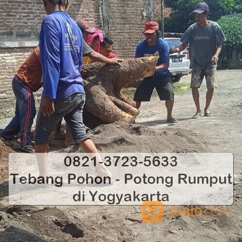 0821-3723-5633, Jasa Tebang Pohon Terdekat dari Lokasi Saya Jogja, Jasa Pangkas Rumput di Jogja