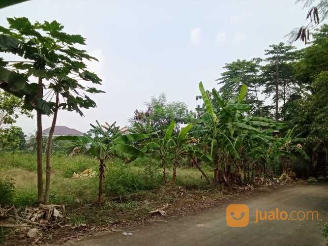 Nuansa Asri Sentul Tanah Kavling Siap Bangun, SHM